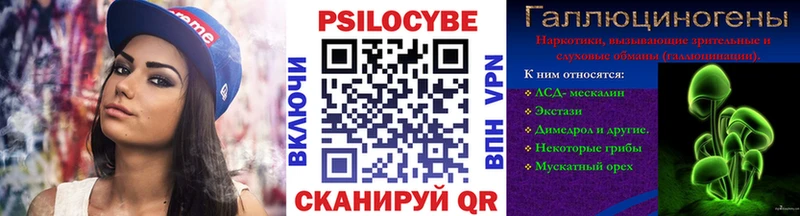 Псилоцибиновые грибы GOLDEN TEACHER  даркнет сайт  Черняховск 